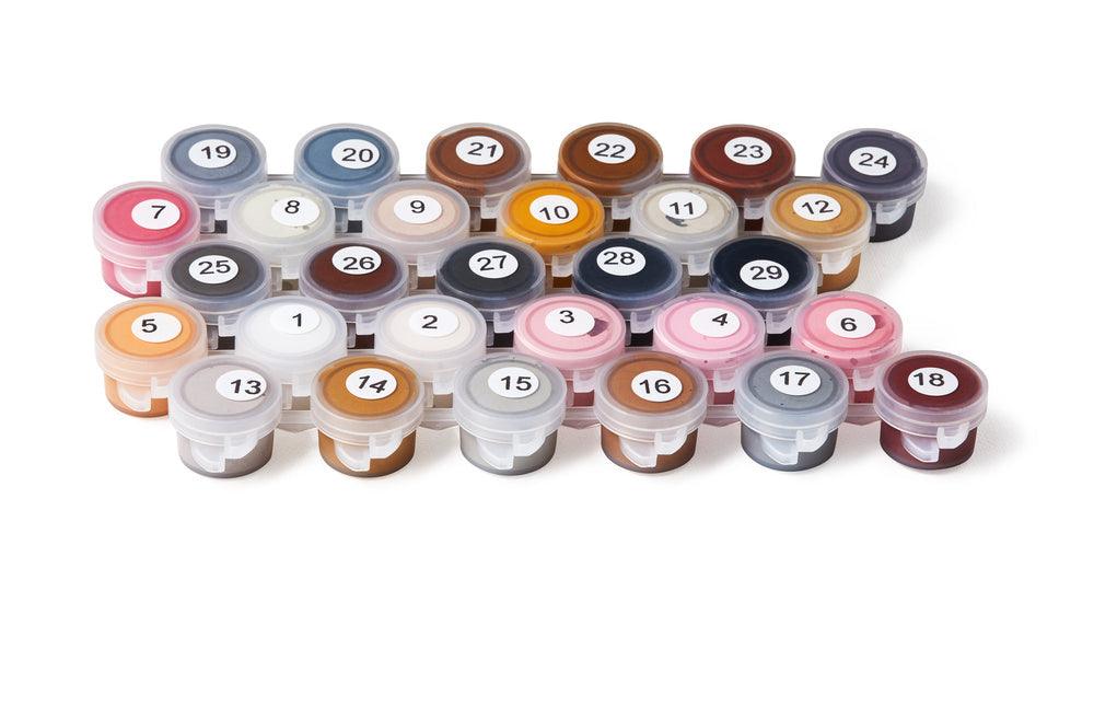 Paint By Numbers kit