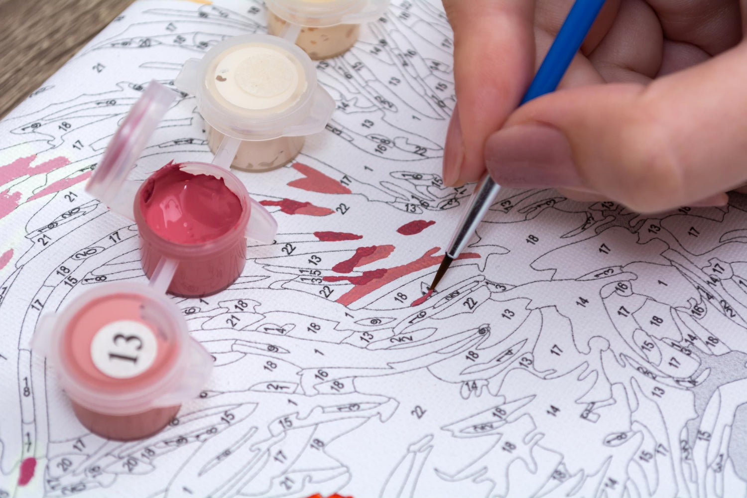 paint by numbers kit