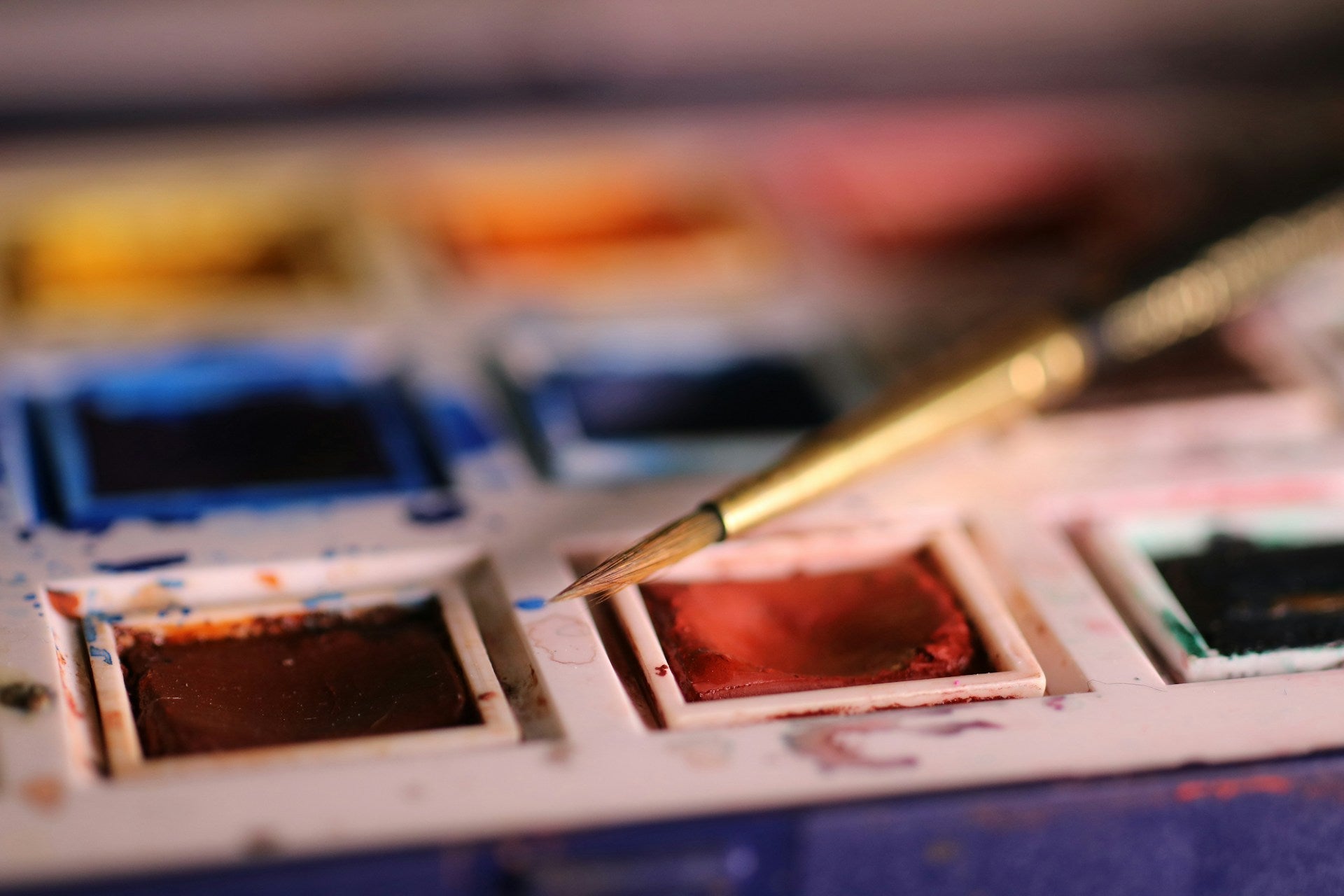 Paint by Numbers