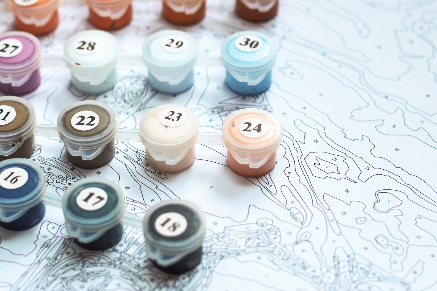 Paint by Numbers