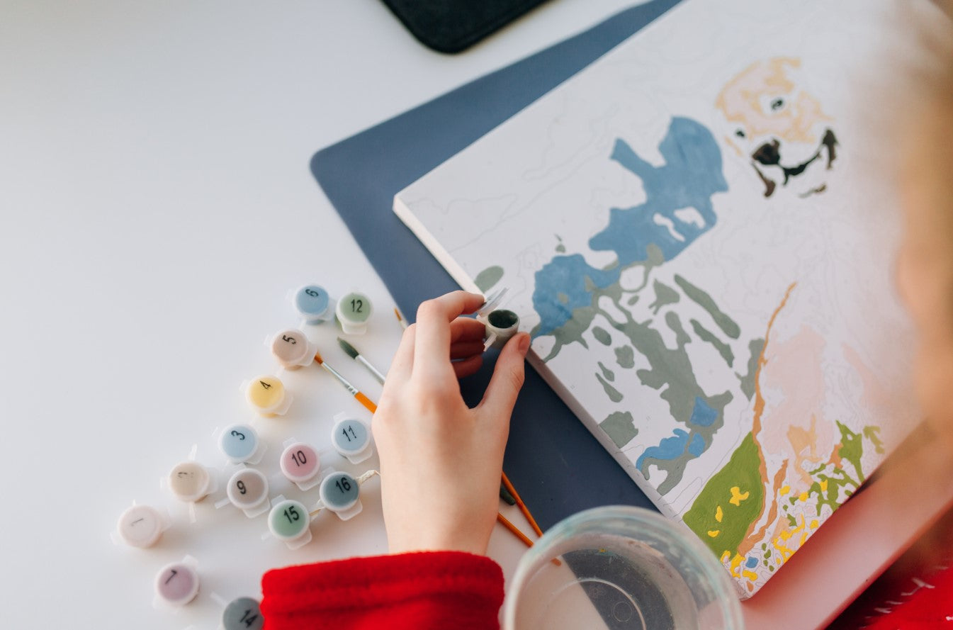 Best Paint by Numbers Kits for Beginner Artists