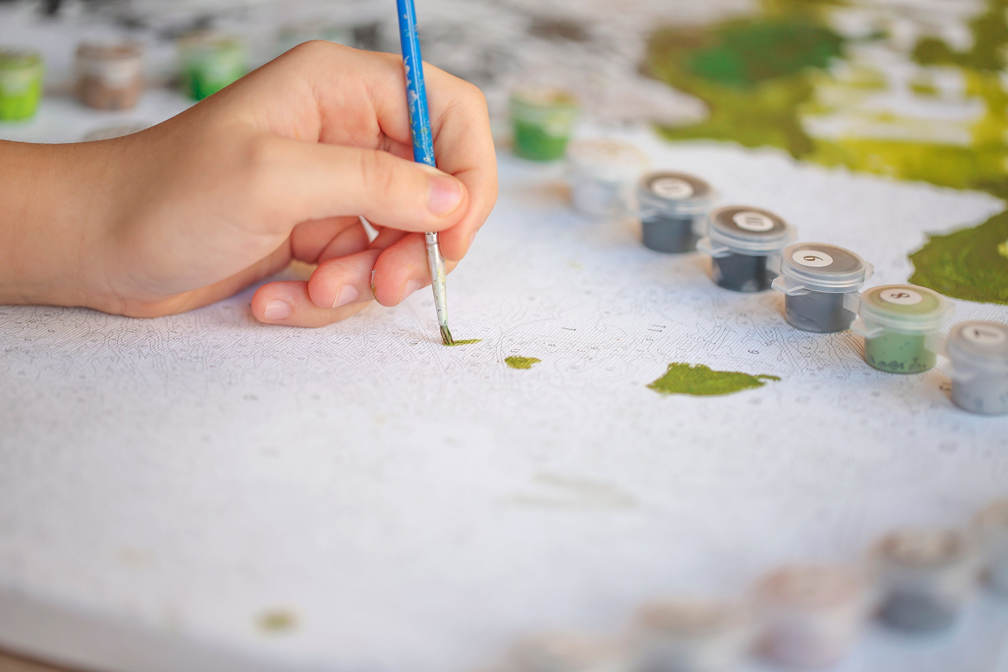 Sustainable Paint by Numbers