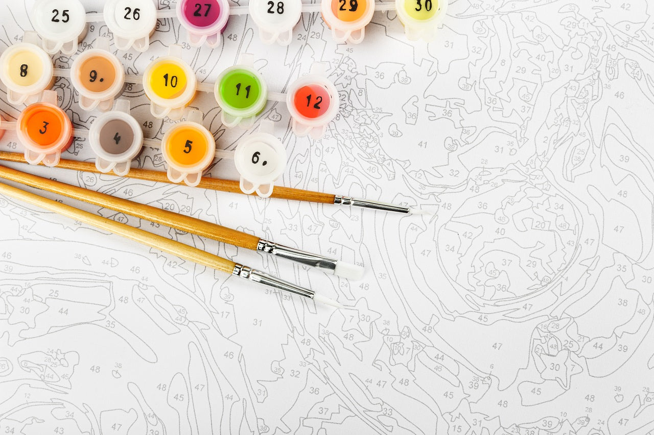 painting by numbers kit