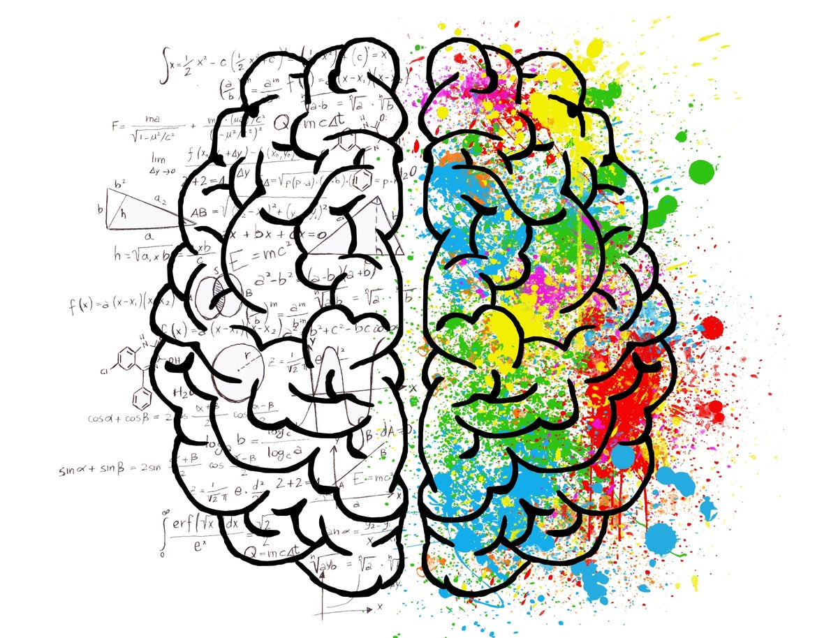Painting is good for the Brain by Crafty by Numbers