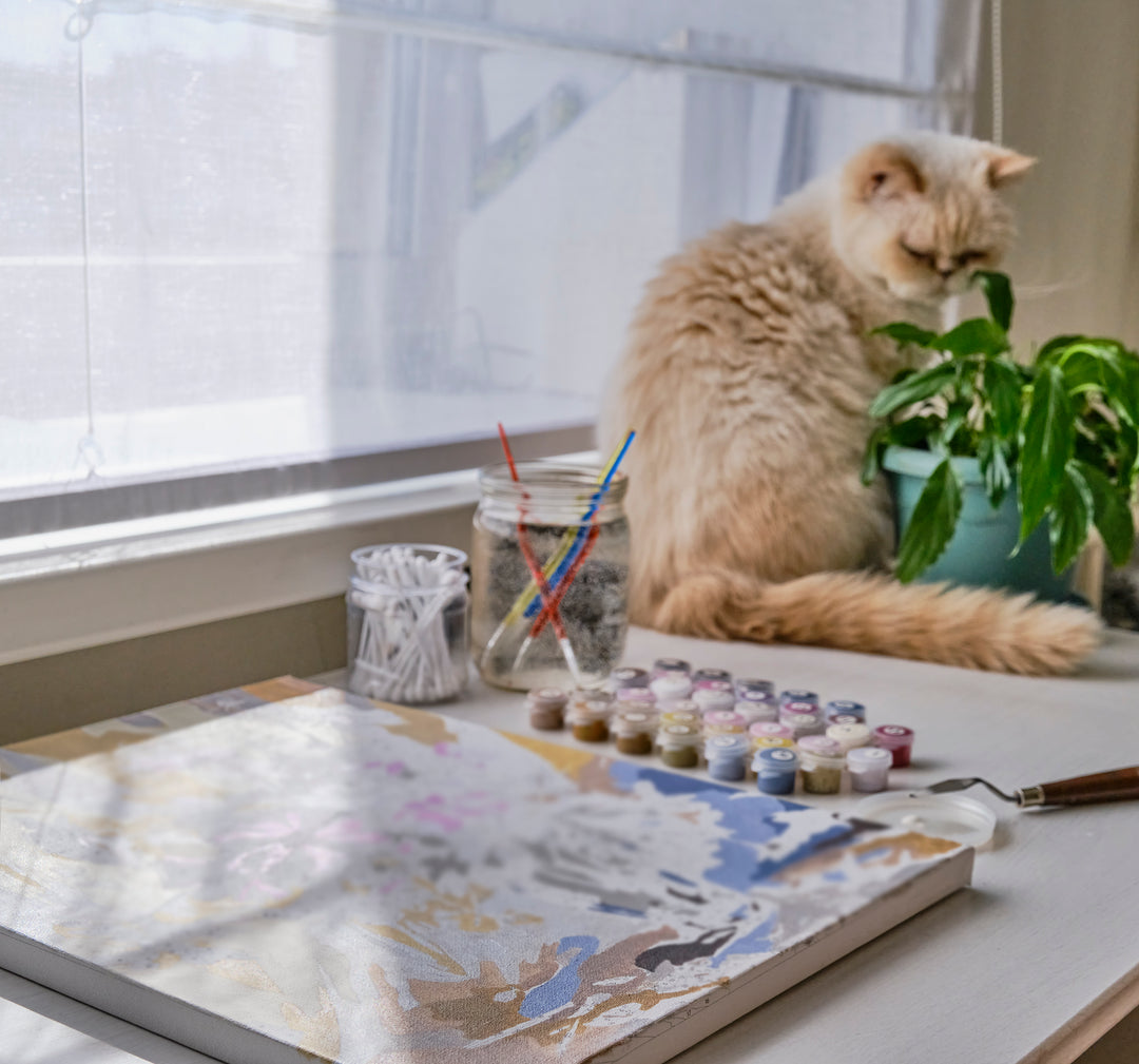cat paint by numbers