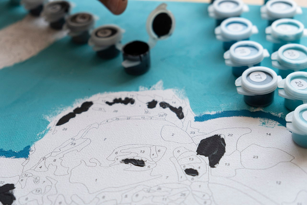paint by numbers