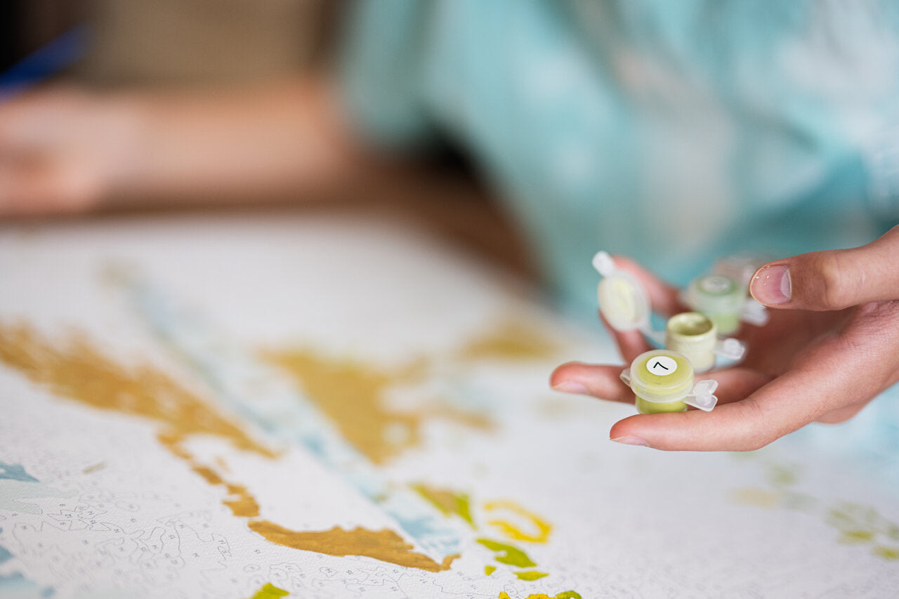 Paint By Numbers Kit