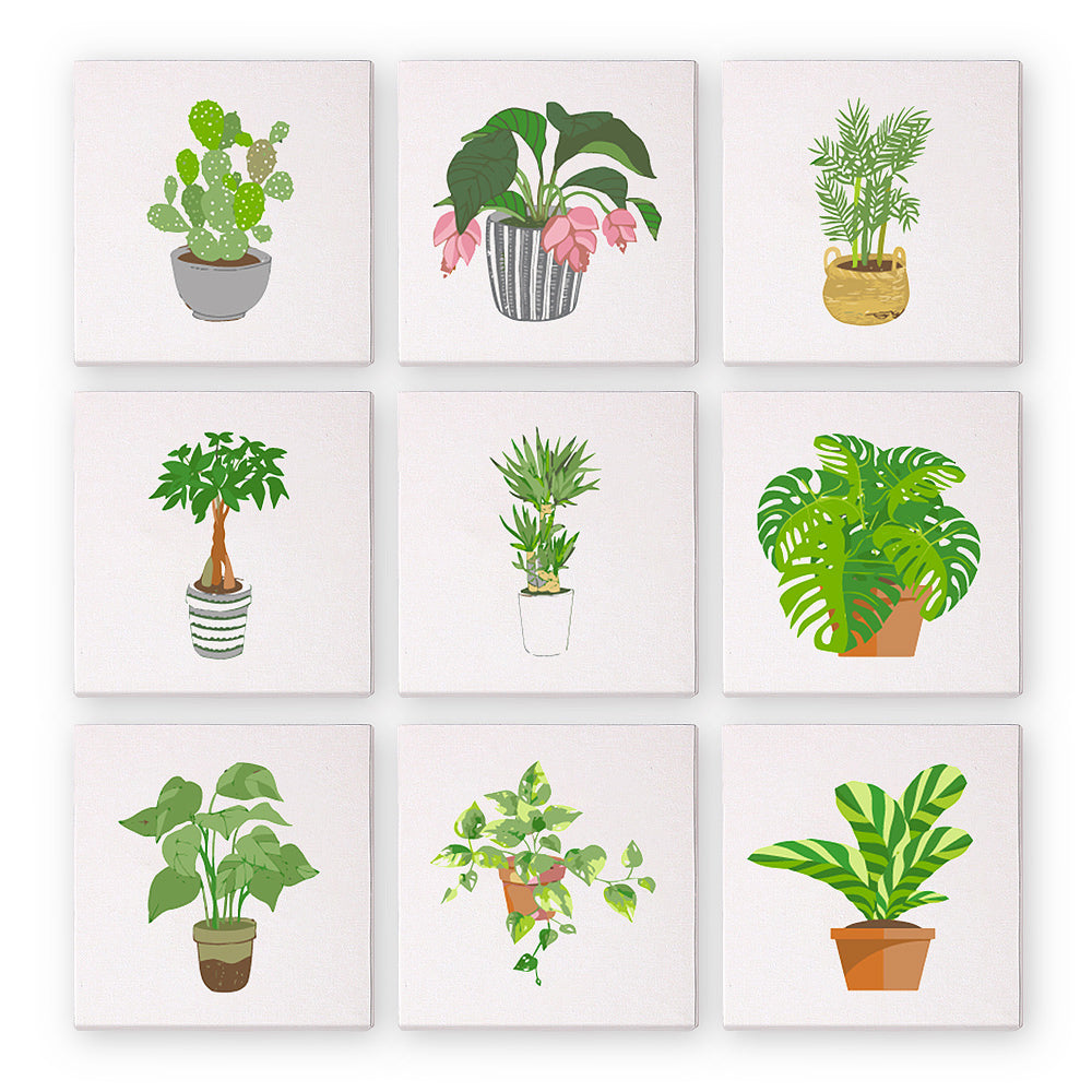 Mini paint by numbers kit featuring a colorful houseplant design