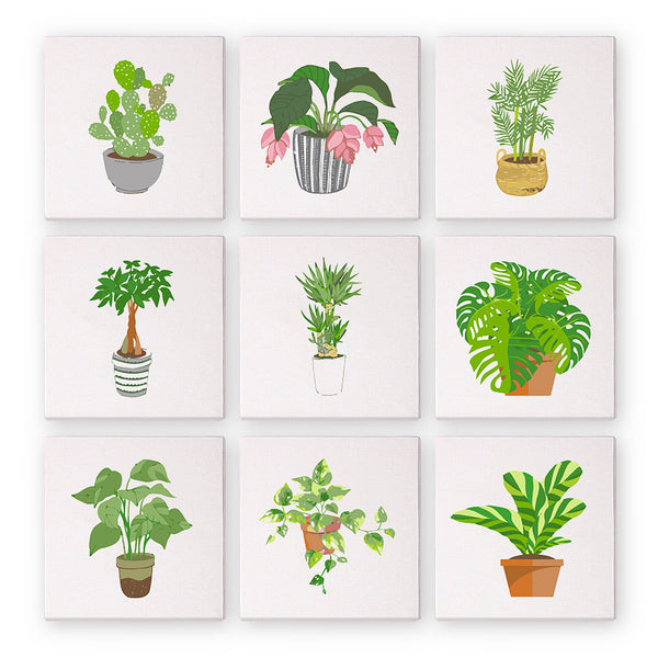 Mini paint by numbers kit featuring a colorful houseplant design