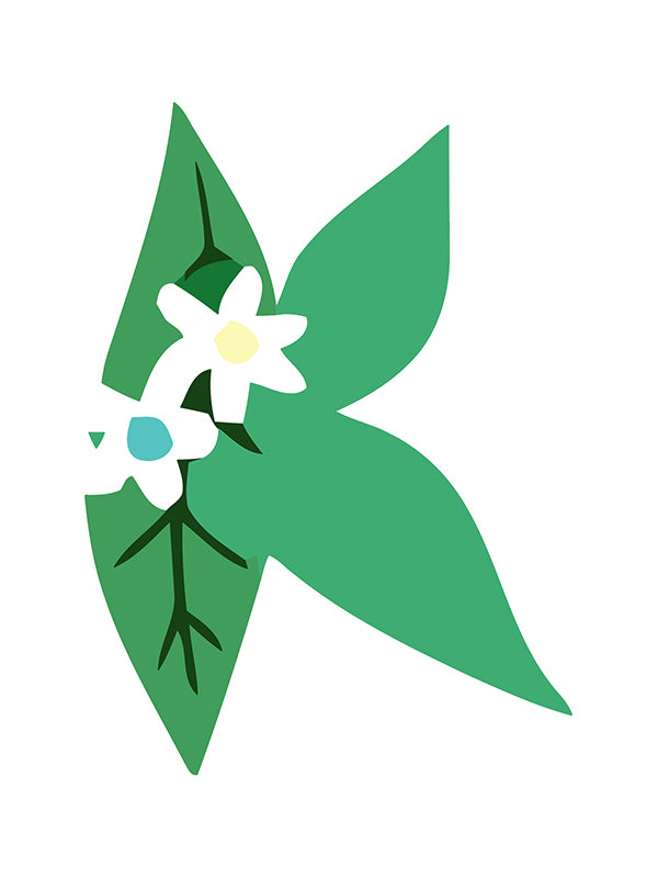 Green leaf with a white flower in the center on a white background