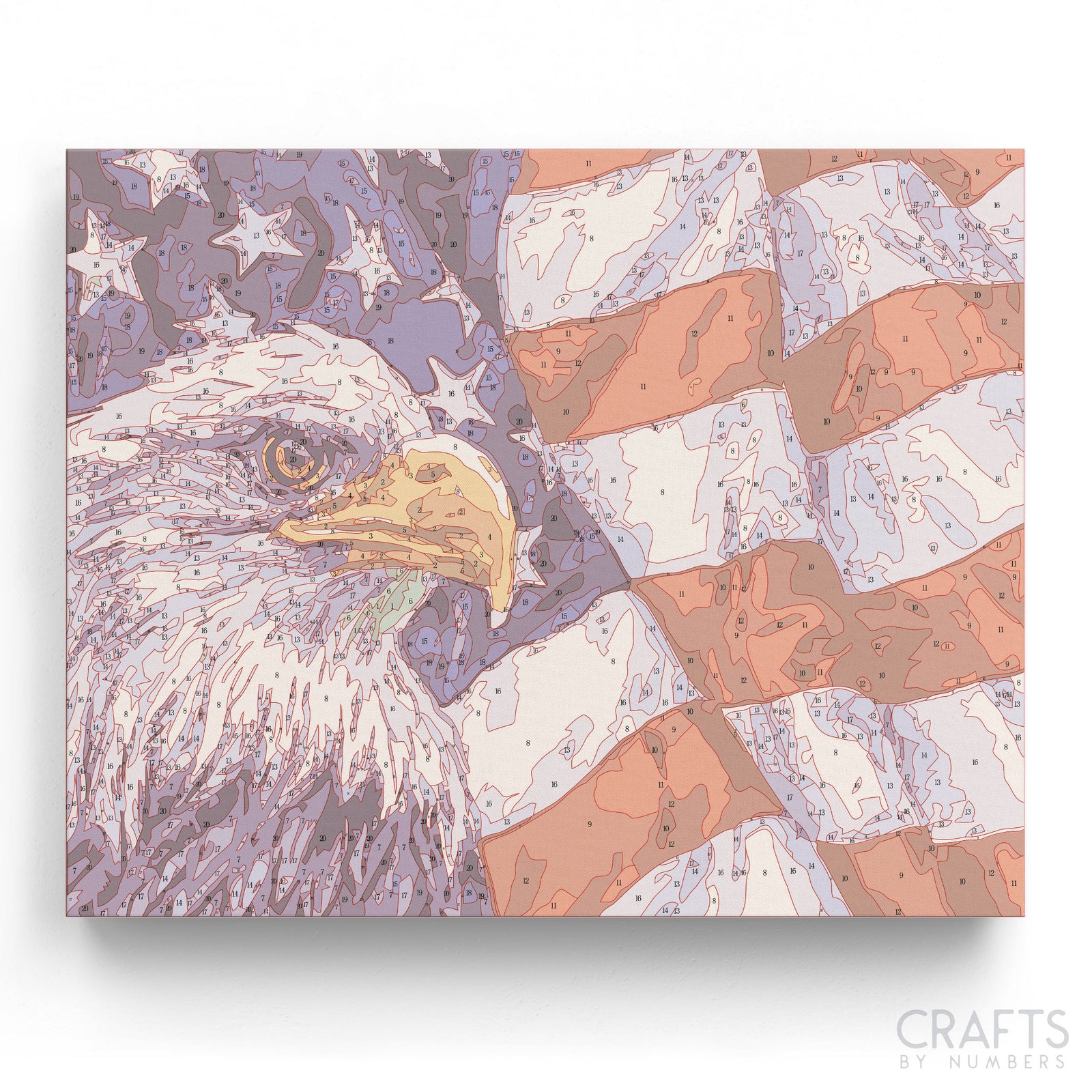 Detailed National Symbol of the USA paint by numbers design