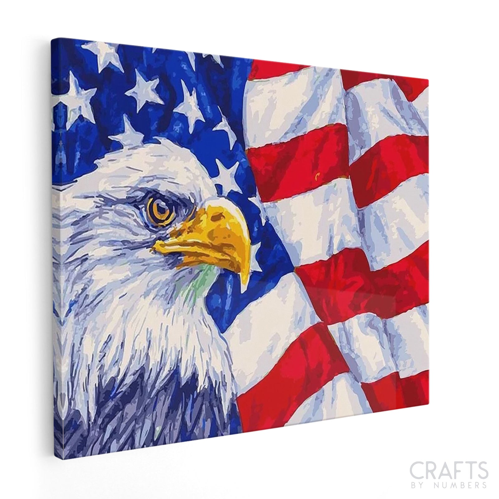 Finished National Symbol of the USA artwork