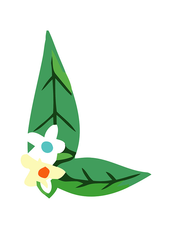 Decorative element with green leaves and flowers on a white background