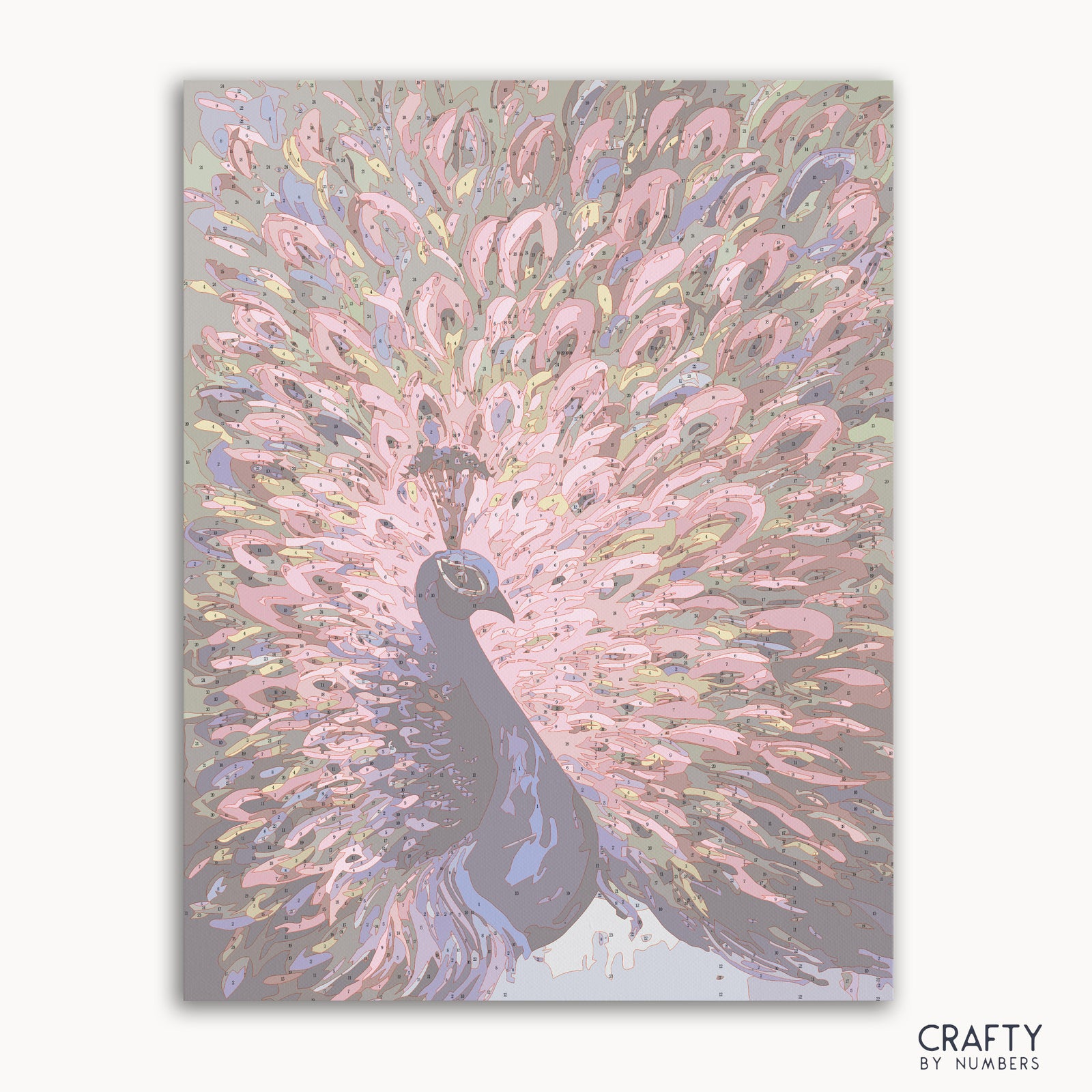 Magnificent Peacock paint by numbers kit with canvas and paints