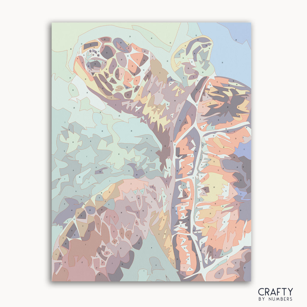 Famous abstract paintings influence in the creative Sea Turtle paint by numbers image.