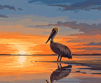 Sunset Shore Pelican