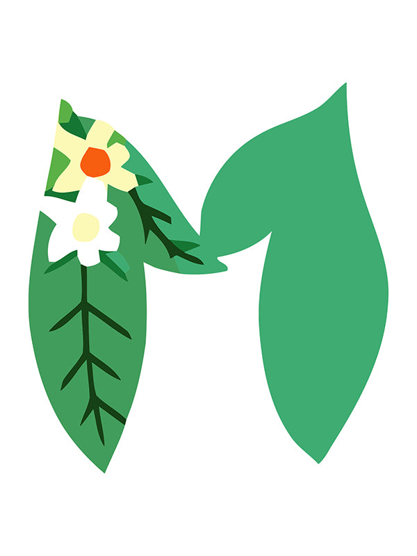 Illustration of green leaves with flowers on a white background