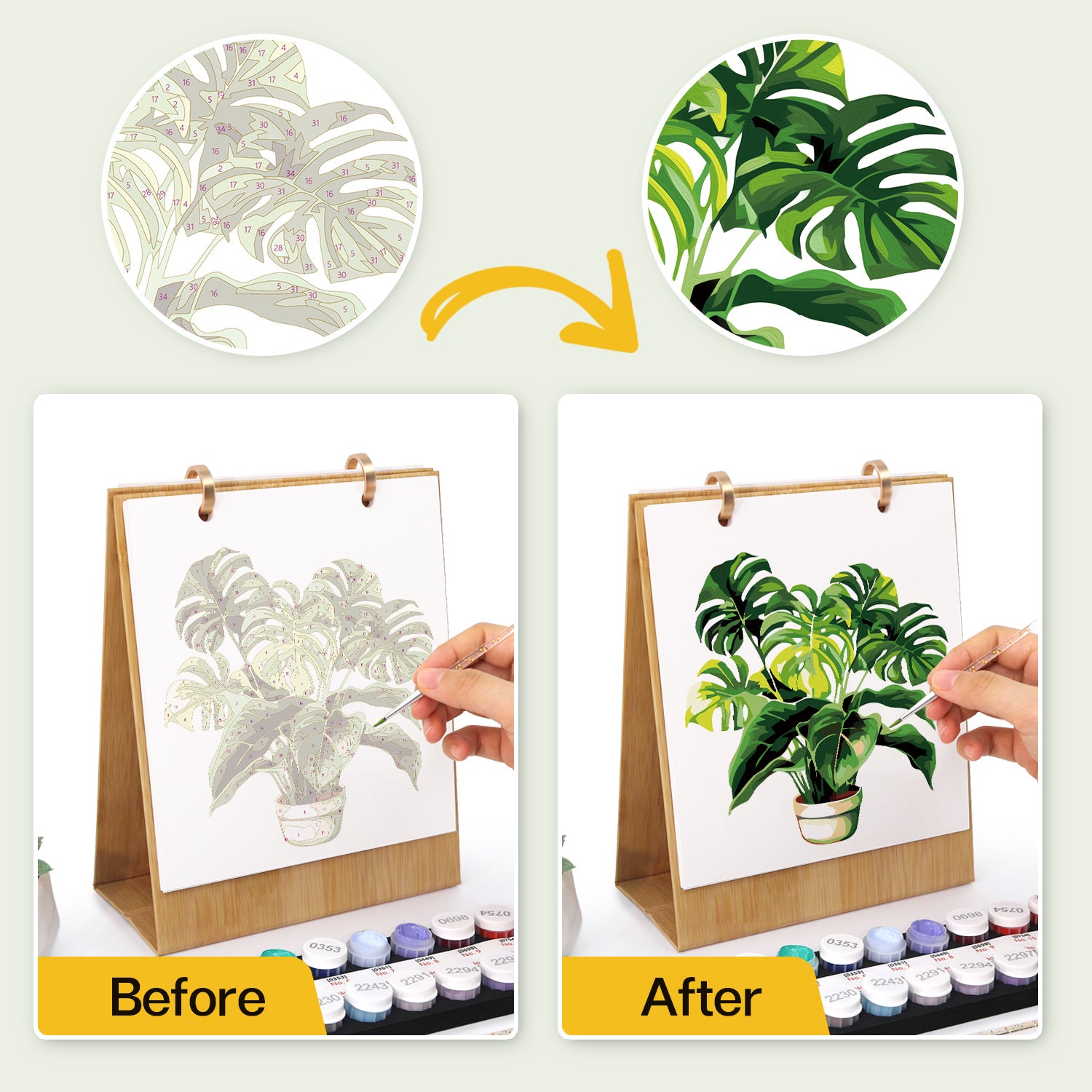 Before and after comparison of a plant drawing with watercolor supplies.
