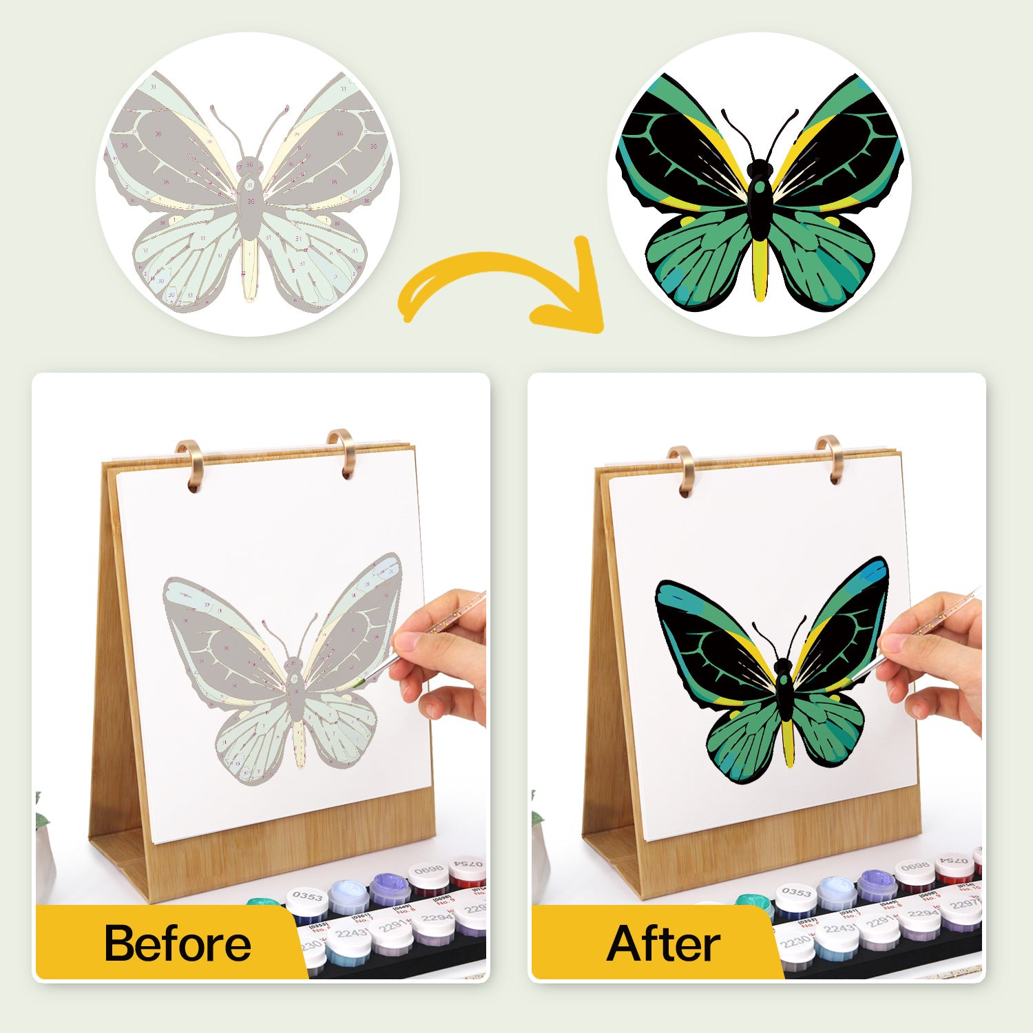 Before and after comparison of a butterfly drawing with watercolor paints.