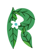 Letter 'R' with green leaves and a white flower on a white background
