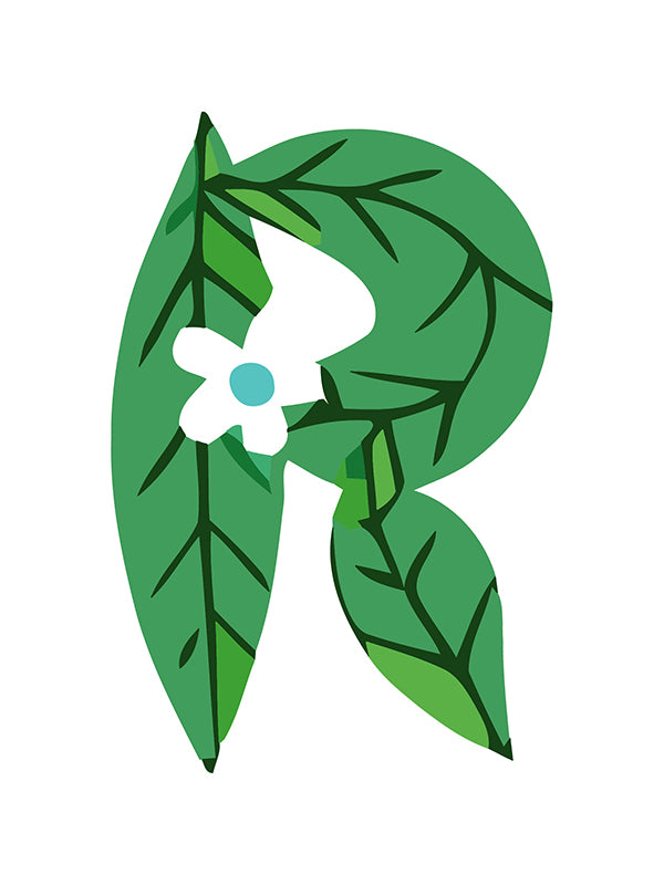 Letter 'R' with green leaves and a white flower on a white background