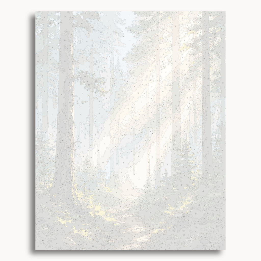 Forest Path