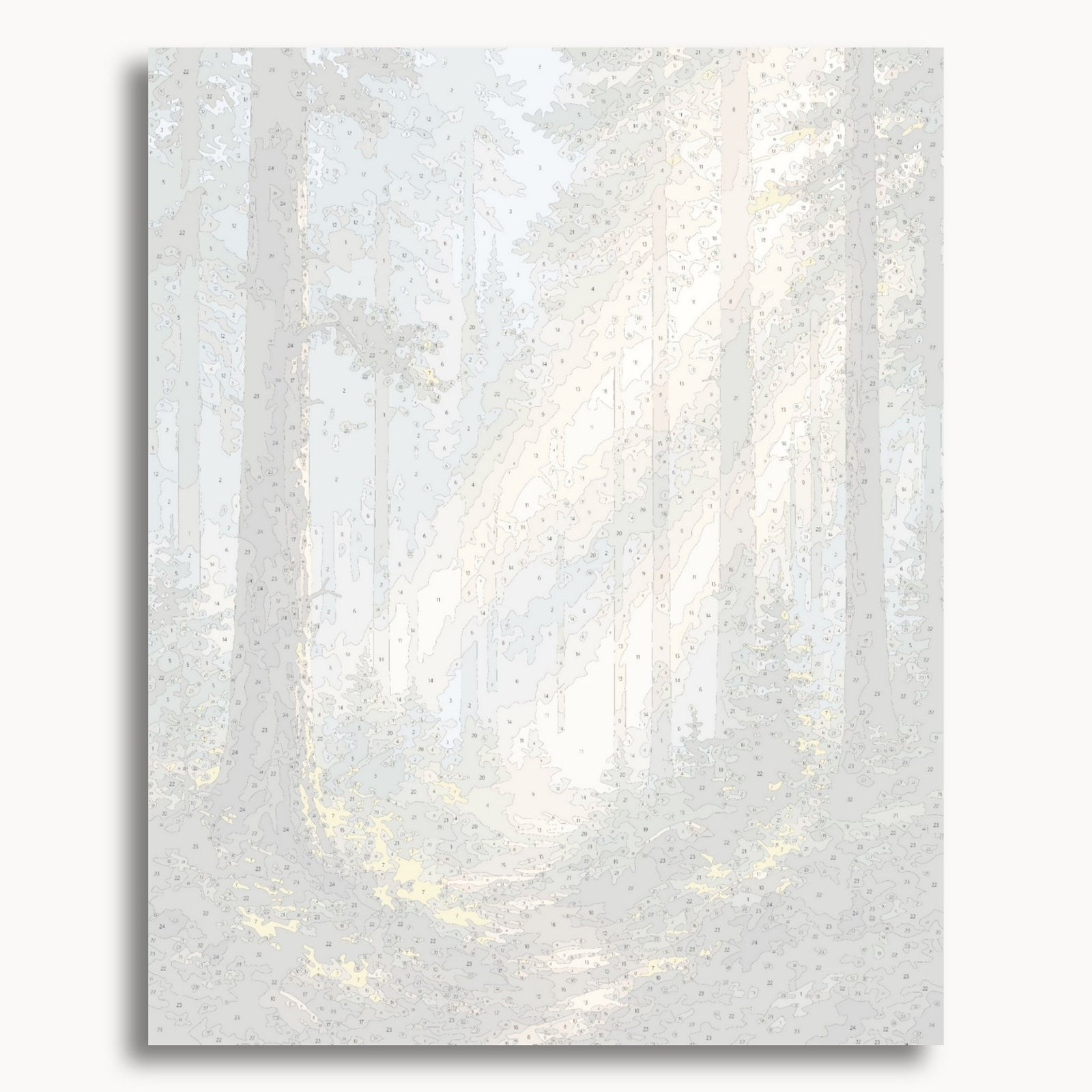 Forest Path