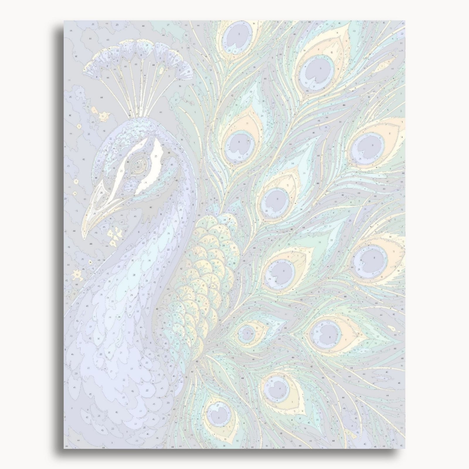 Königlicher Pfau