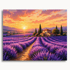 Lavender Field