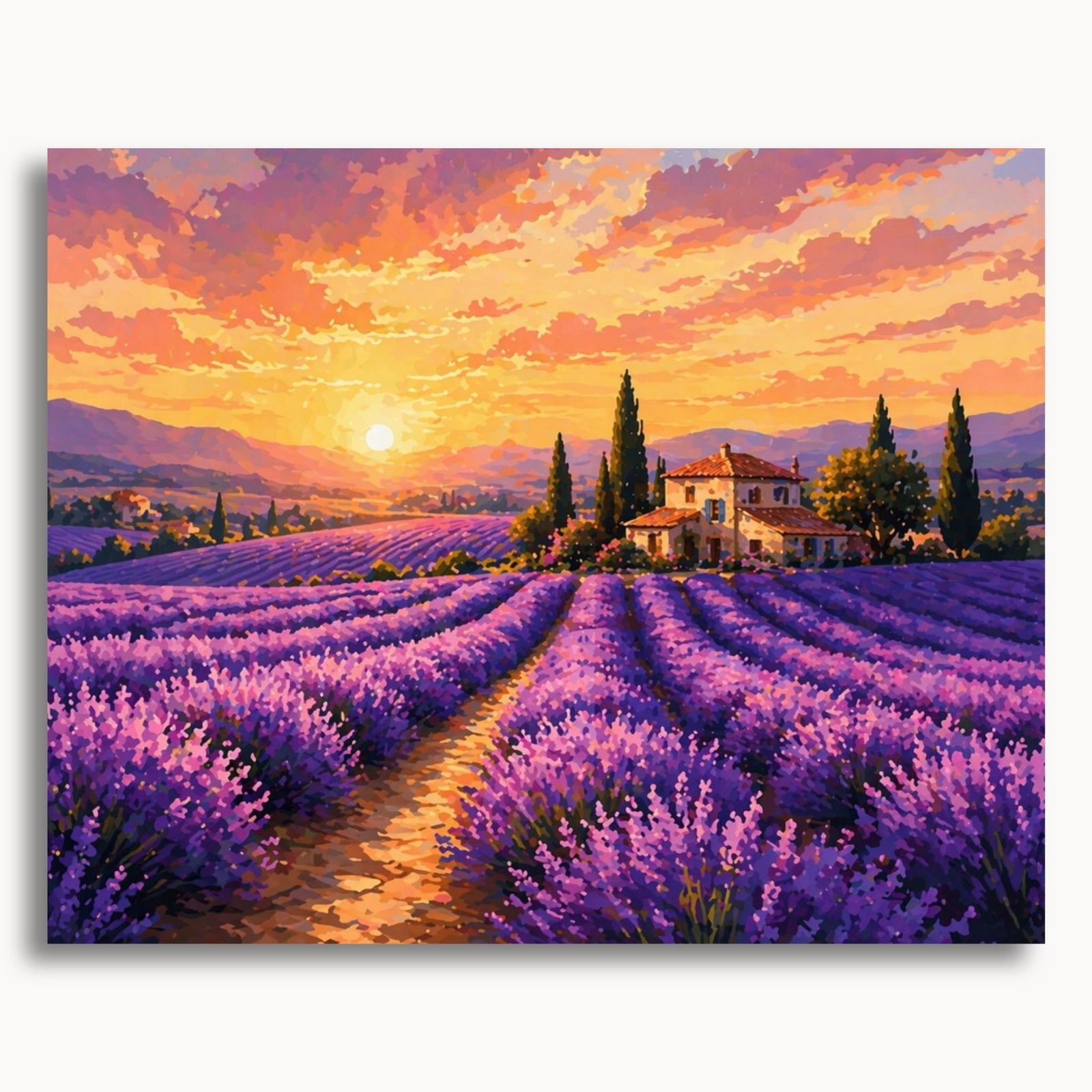Lavender Field