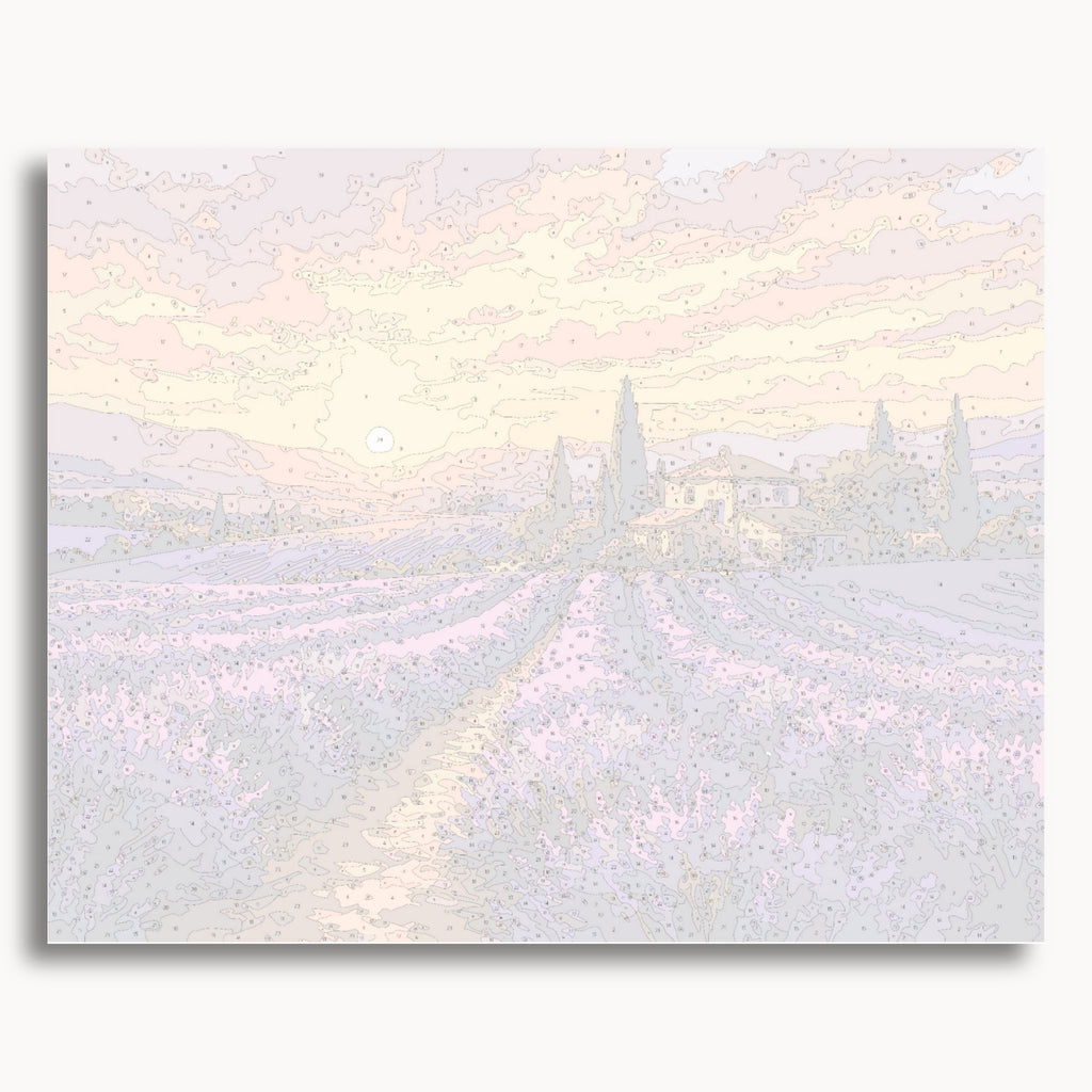 Lavender Field