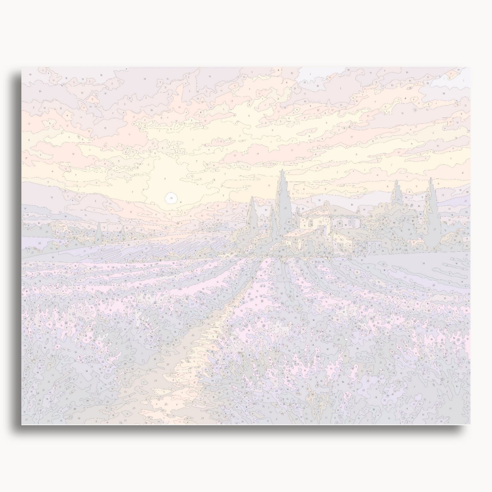 Lavender Field