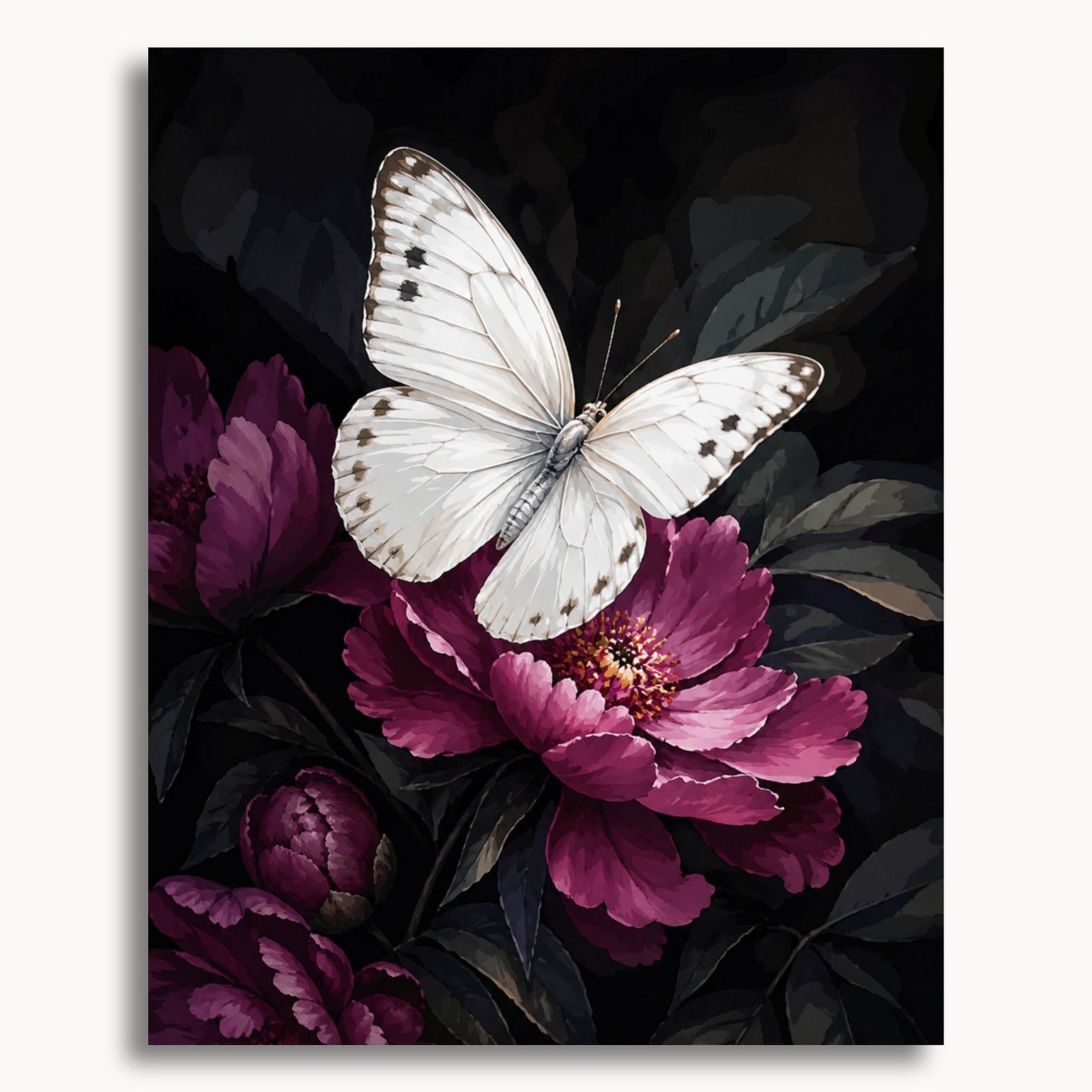 White Butterfly