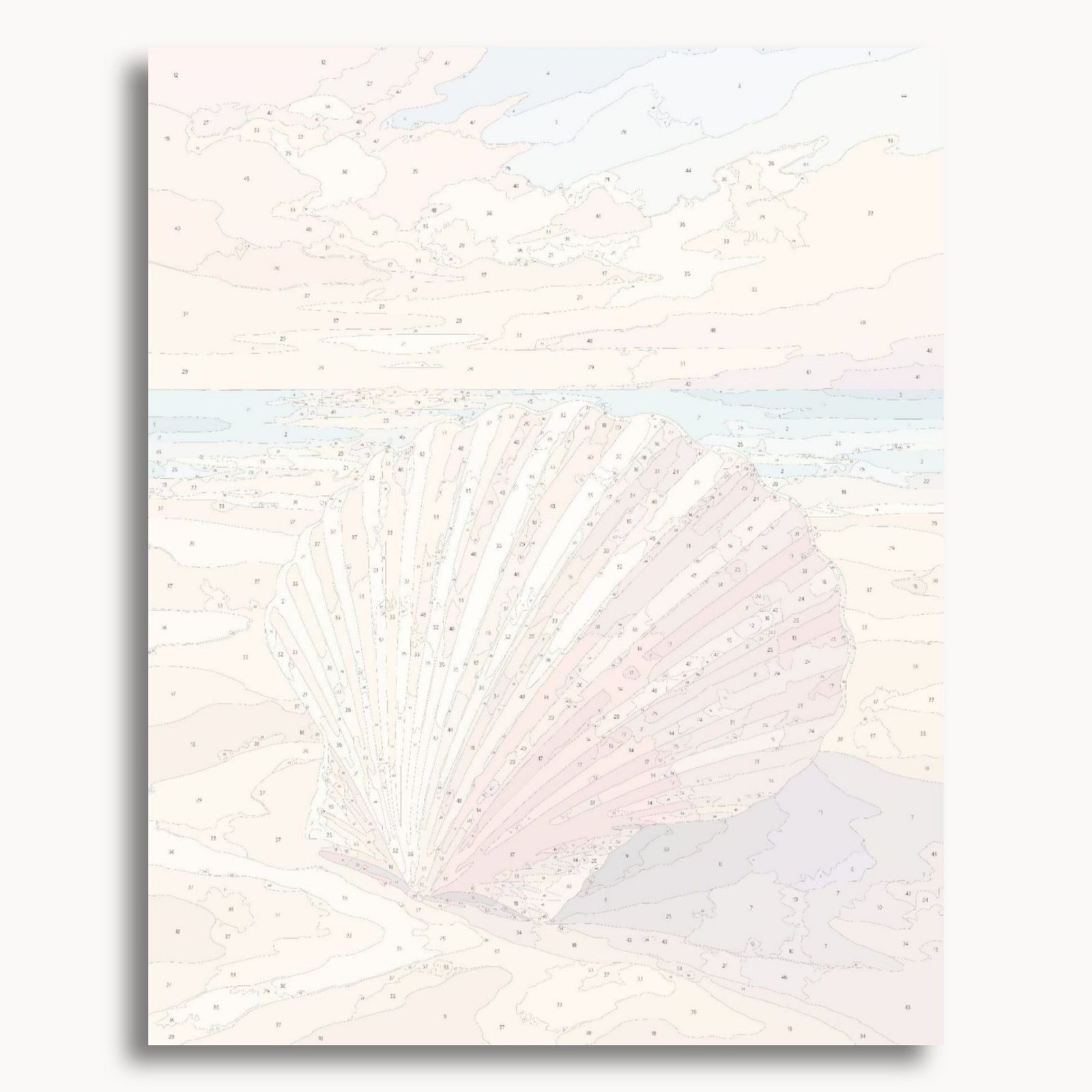 Sunset Shell