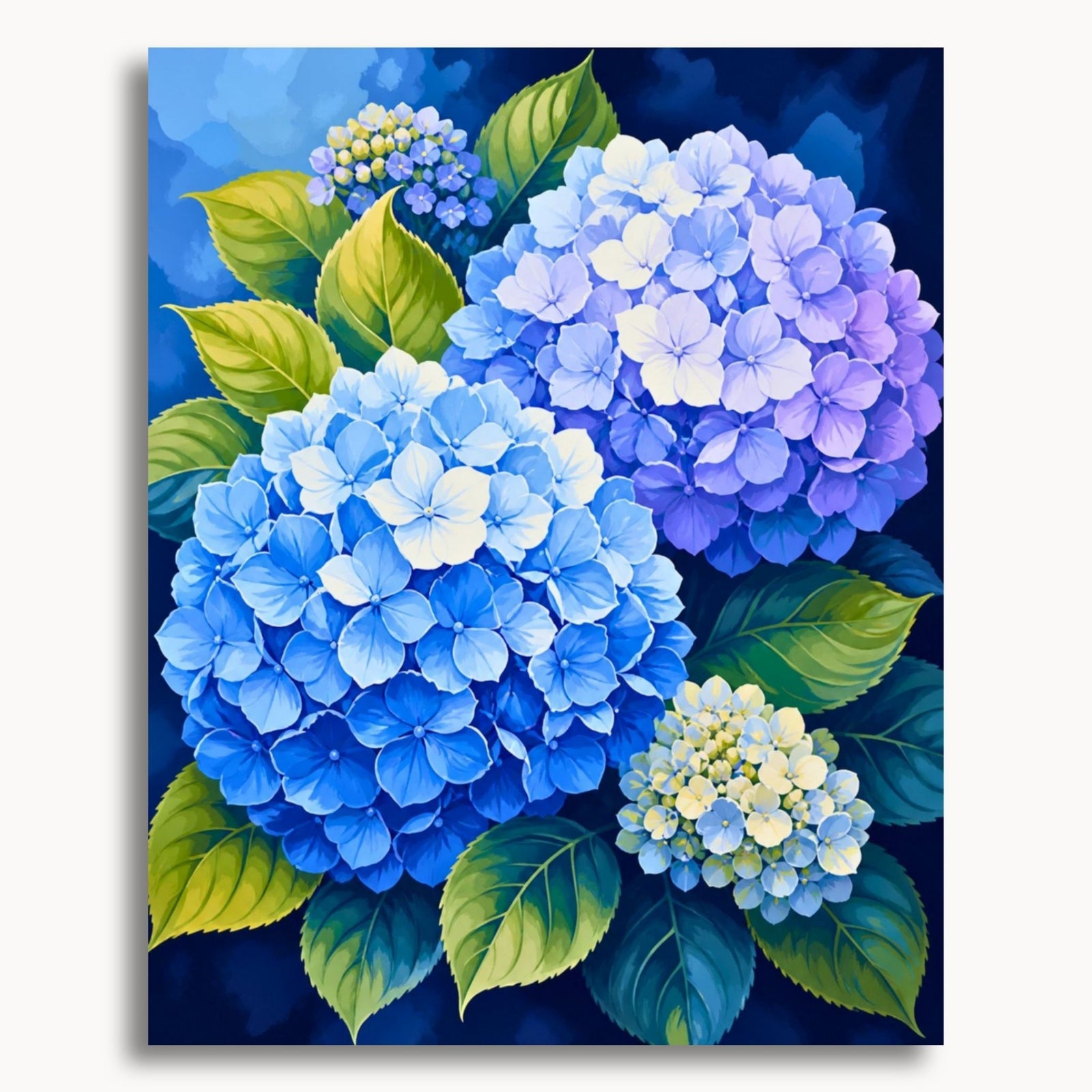 Blue Hydrangeas