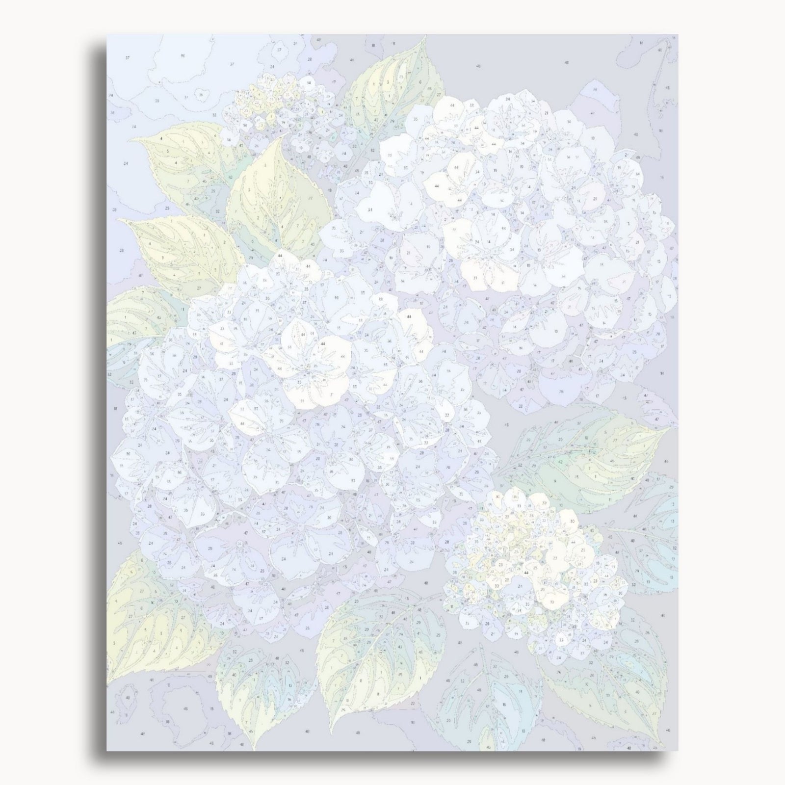 Blue Hydrangeas