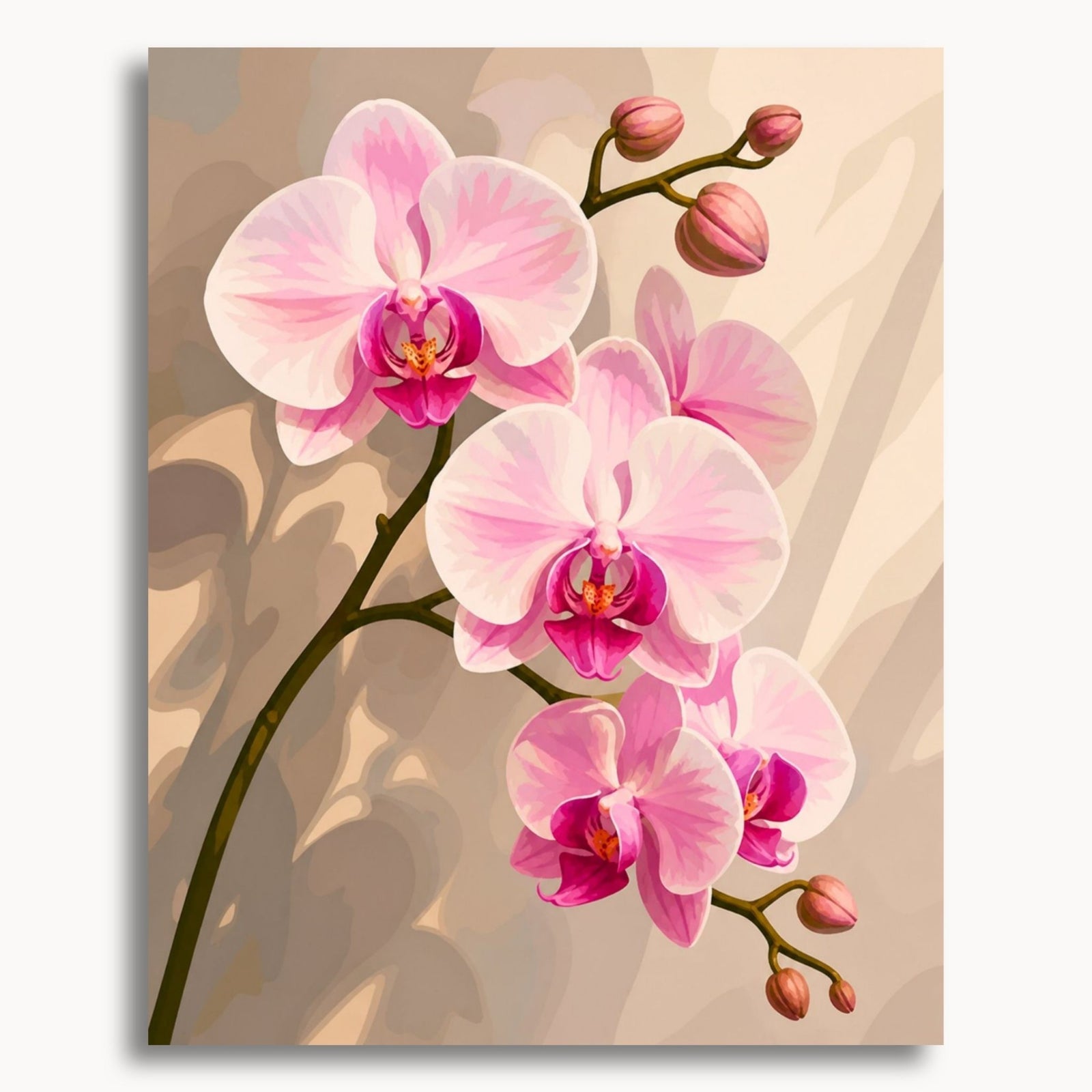 Pink Orchids