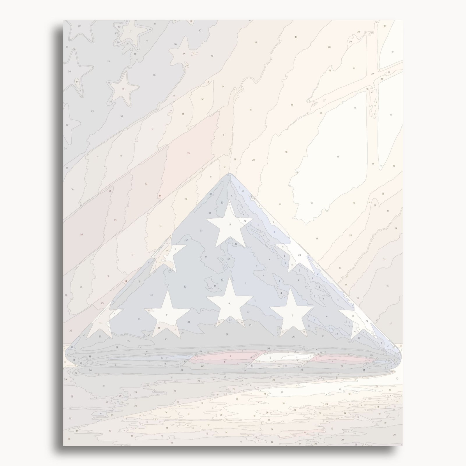 Folded Flag