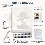 Zen Bonsai