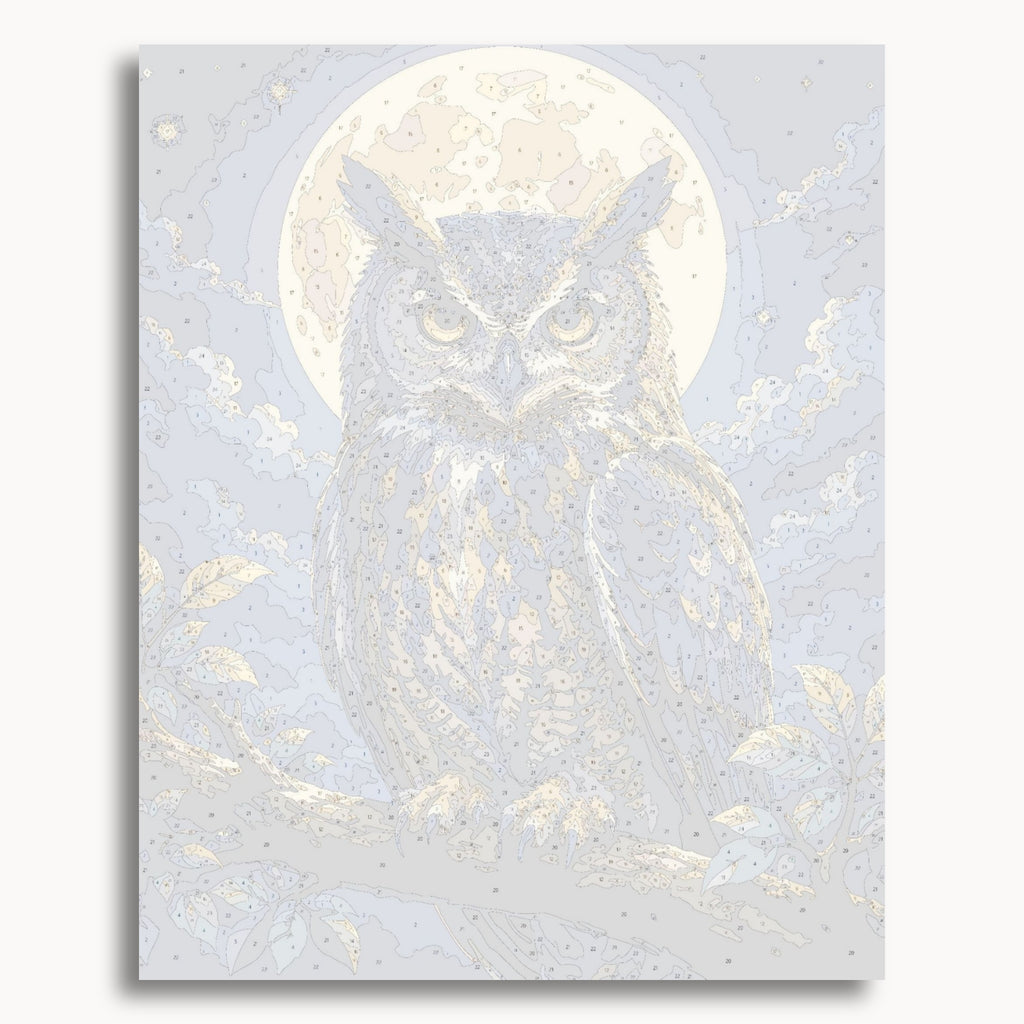 Numbered canvas preview for the Moonlit Owl paint by numbers kit