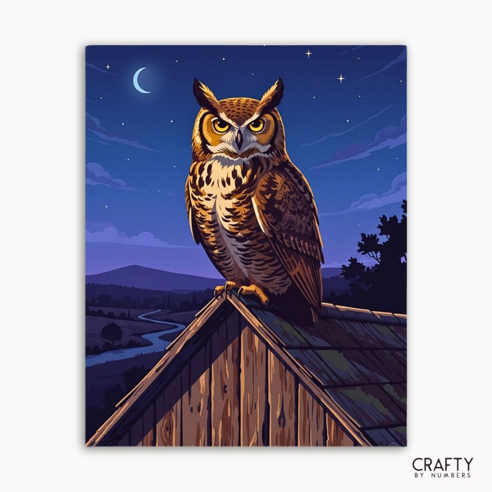 Midnight Watch Owl