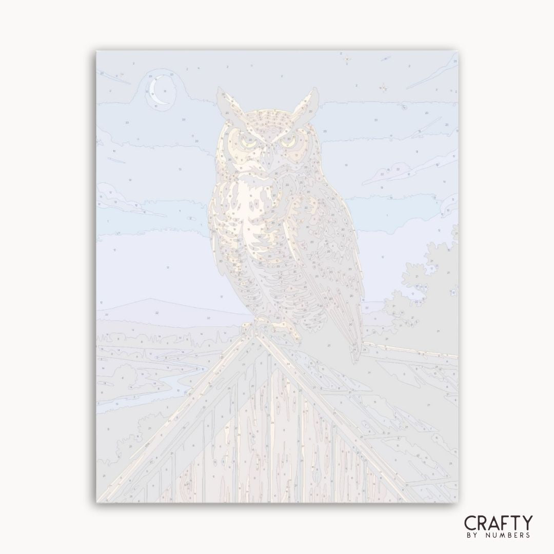 Midnight Watch Owl
