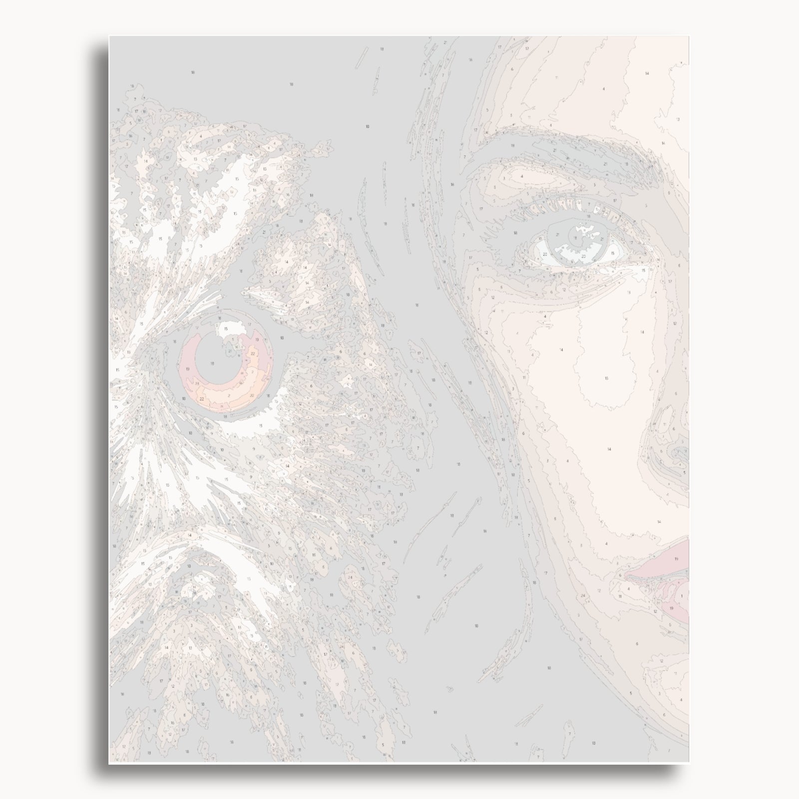 Owl Gaze