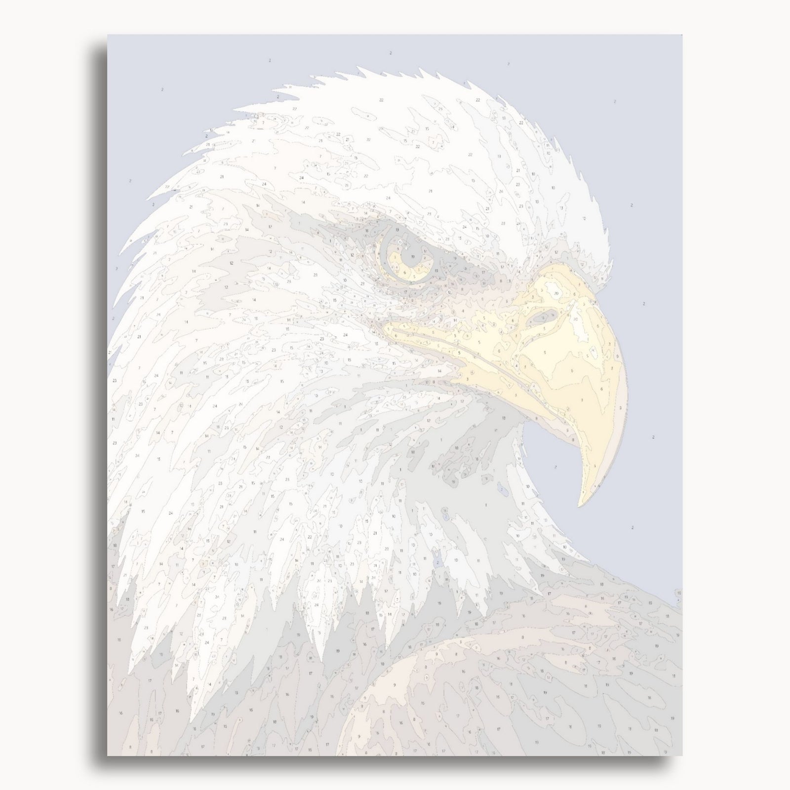 Bald Eagle Portrait