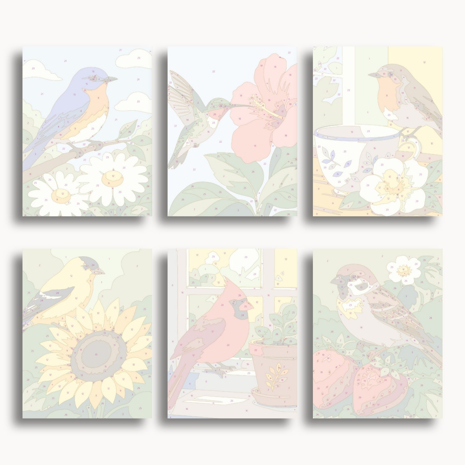 Garden Birds Mini Paint By Numbers Set