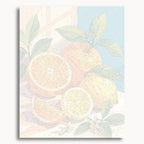 Citrus Harmony