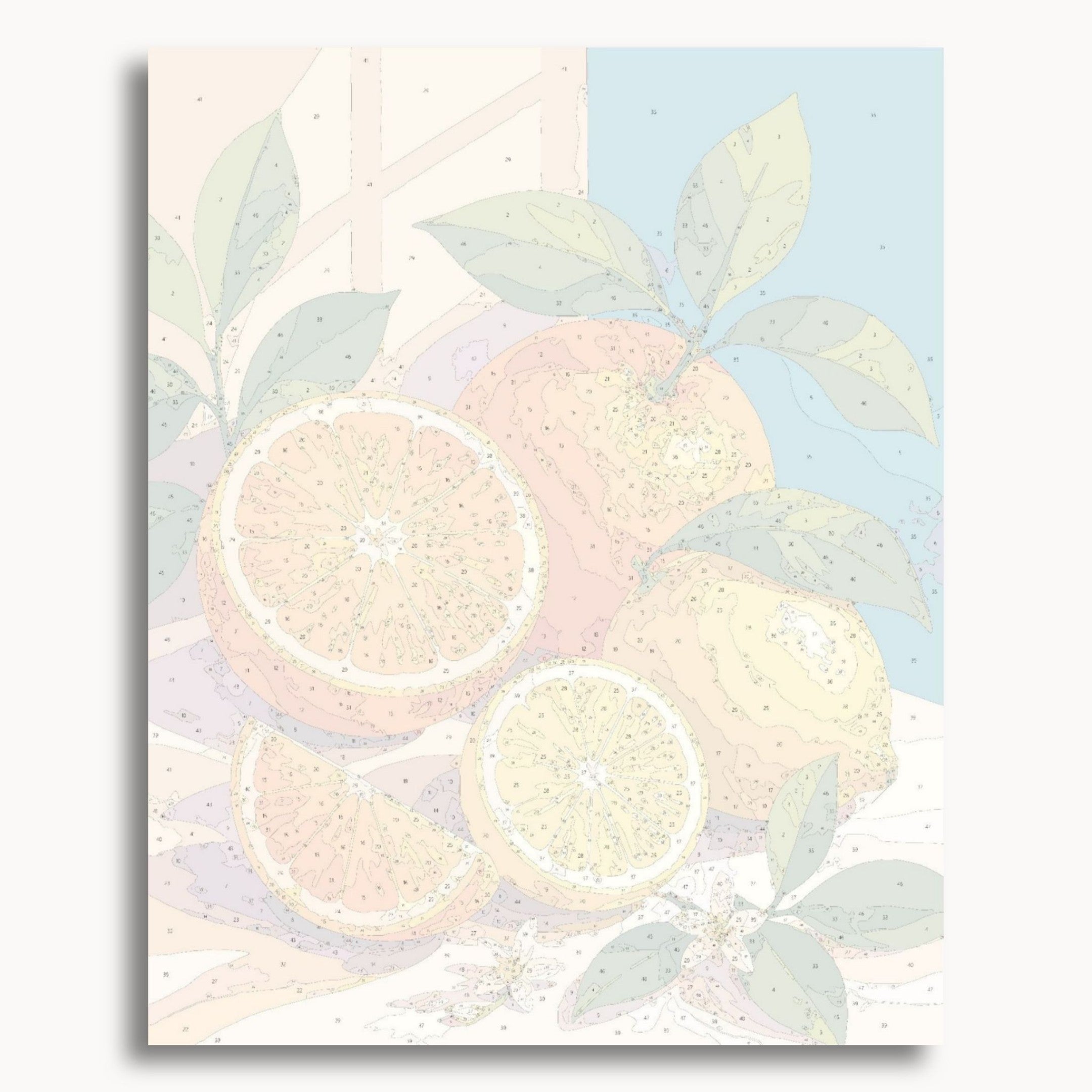 Citrus Harmony