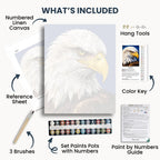 Bald Eagle Portrait