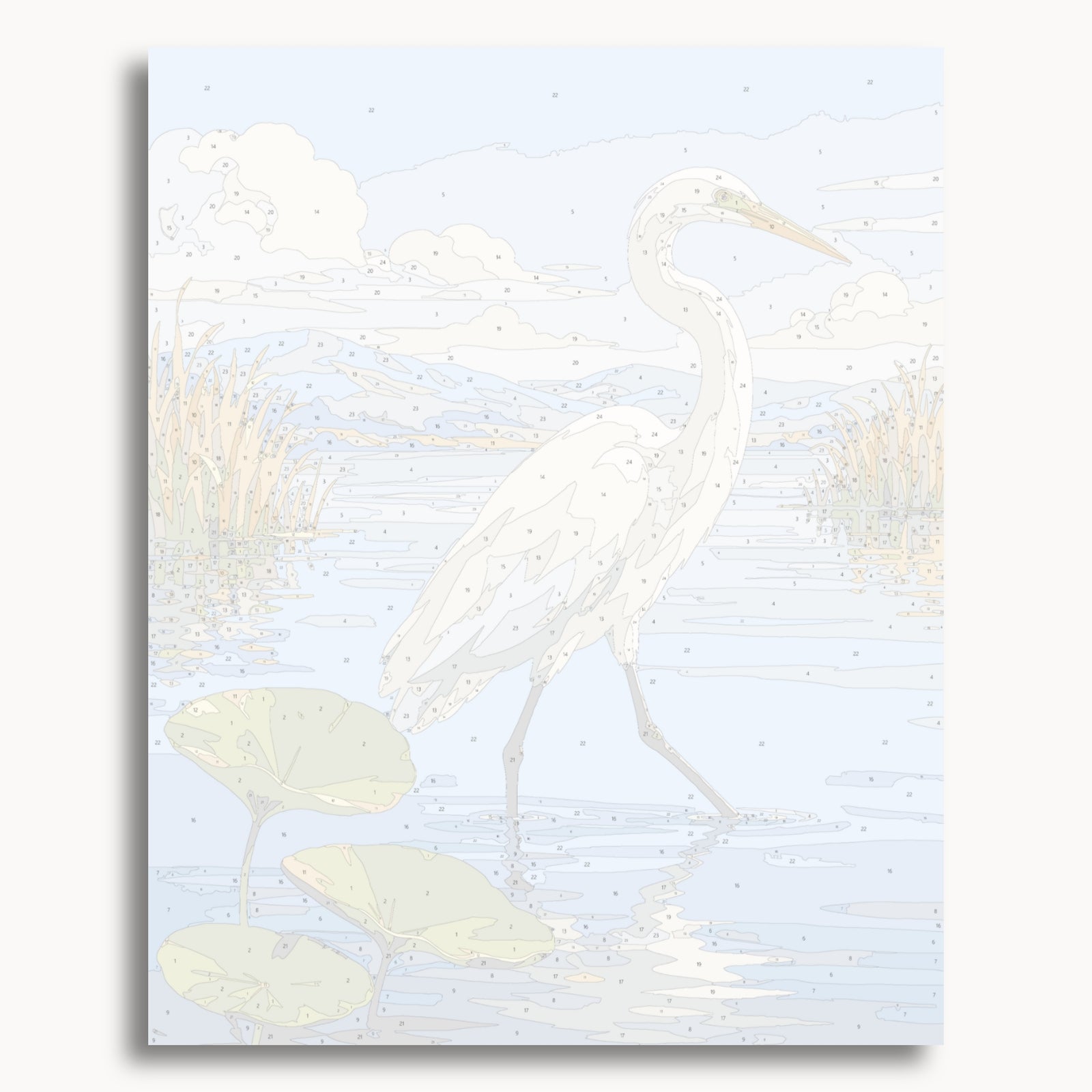 White Egret