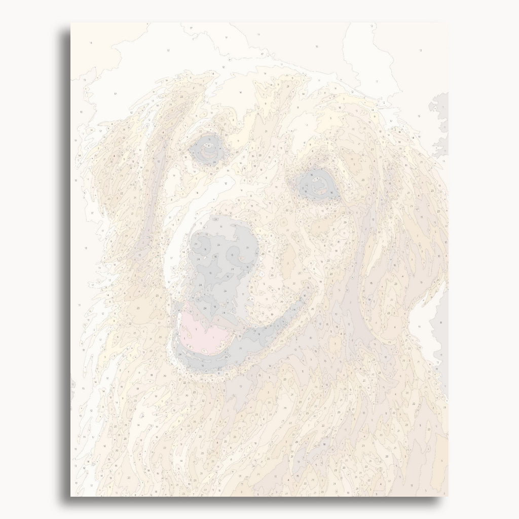 Numbered canvas preview for the Golden Retriever Portrait paint by numbers kit